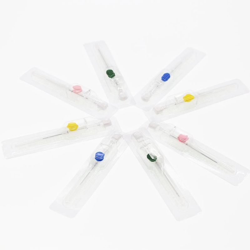 Eo Sterilization IV Cannula with Wings CE ISO