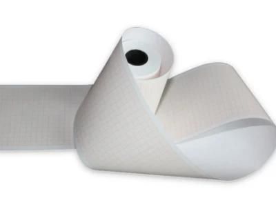 216mmx30m Electrocardiogram Paper Roll with High Quality