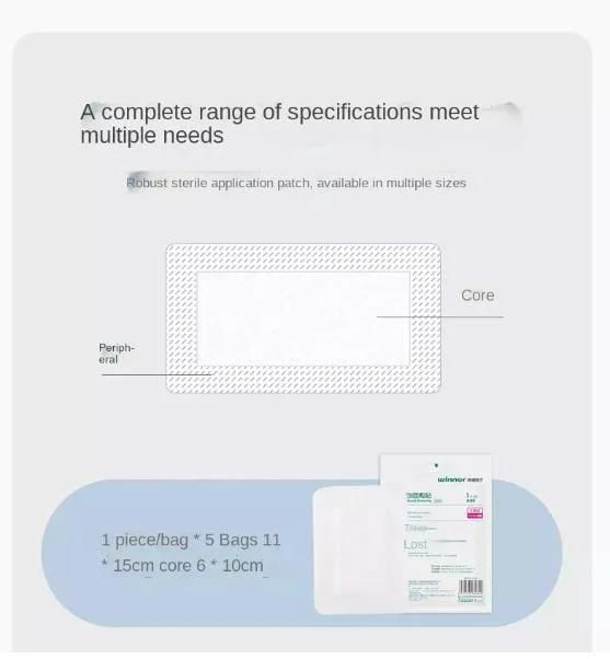 Medical Wound Dressing for Wound Healing Highly Absorbent Gelling Fiber Dressing Sterile Individual Wrapped for Wound Care