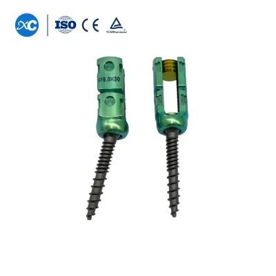 Orthopaedic Spine Implants Spinal System Double Core and Double Thread Pedicle Screw