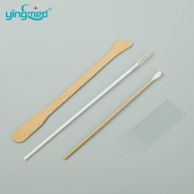 Disposable Sterile Test Pap Smear Cytobrush Brush Spatula Set Kits