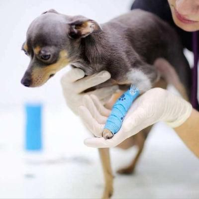 Hot Sale Medical Elastic Printed Cohesive Veterinary Bandage