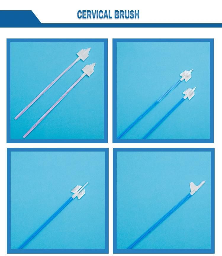 Disposable Medical Sterile Cervical Cell Spatula/Cervical Sample Spoon