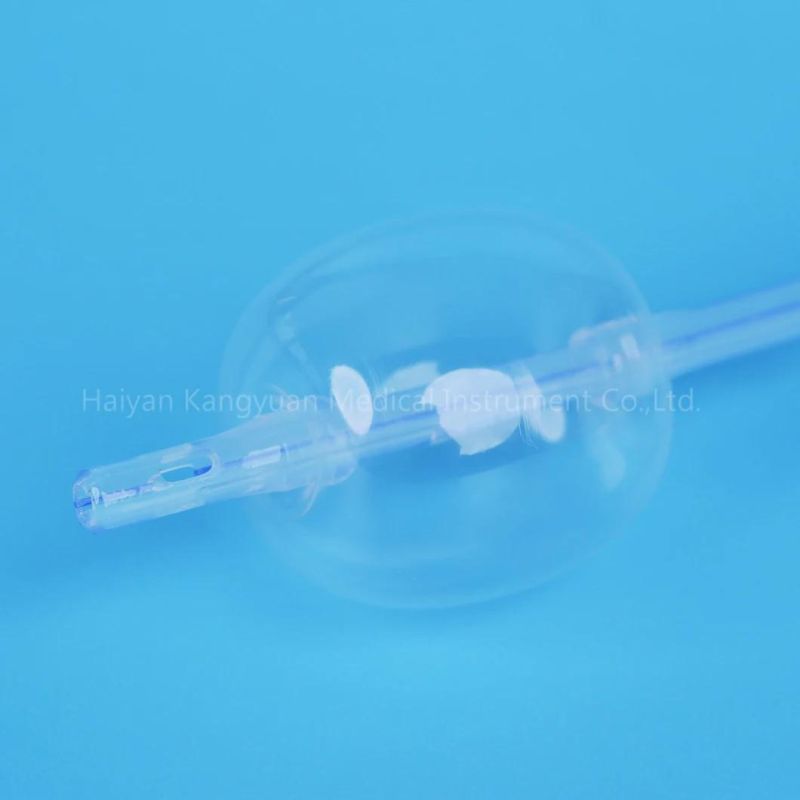 2 Lumen Suprapubic Silicone Foley Catheter
