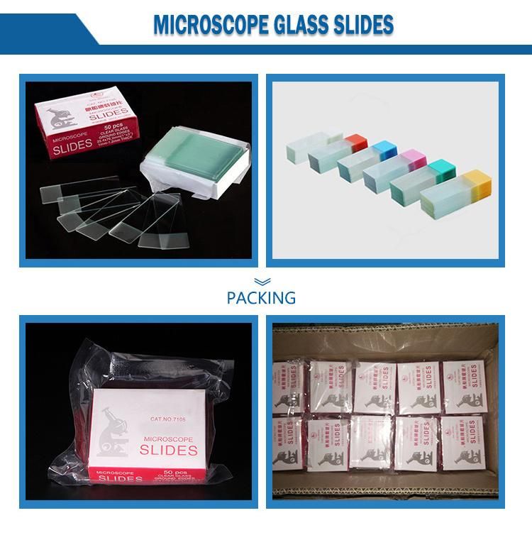 China Hot Sale Sterile Disposable Medical Plastic Screw Urine Container