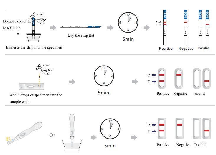 No Side Effects to The Fetus and Mother, Easy to Operate and Carry, Convenient and Rapid Results of Sheep Test