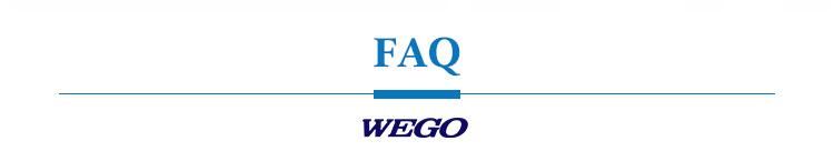 Wego Hot Sale Medical Syringe 10ml Disposable Enteral Feeding Syringe with FDA/CE/ISO