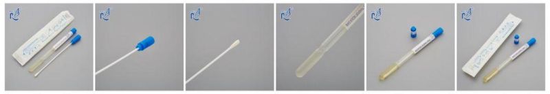 Sterile Flocked Oral Swab with Hard Tube/Specimen Transport Oral Swab with Tube
