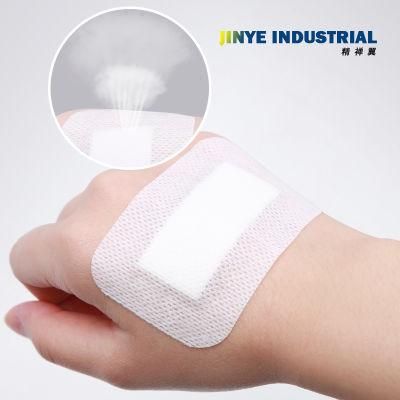 Dressing Wound Care Dressing Non-Woven Adhesive Wound Dressing Combined Wound Dressing