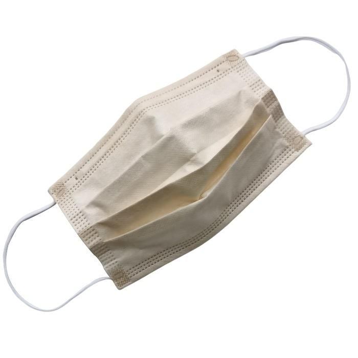 Supplier Electronic Industry Healthcare High Quality Anti-Dust Breathing Protective Isolation Cleanroom Disposable Non-Woven Face Mask Manufacturer
