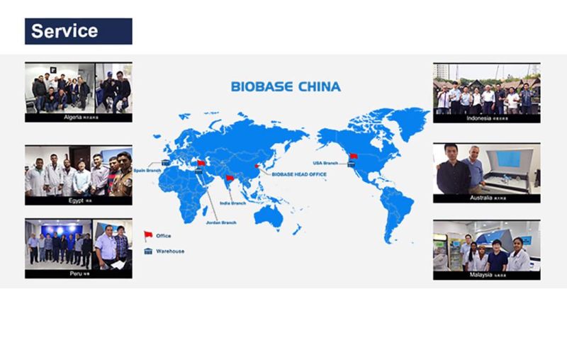 Biobase PCR Test Kit PCR Test Kit Rapid PCR Amplification Kits Test Kits PCR