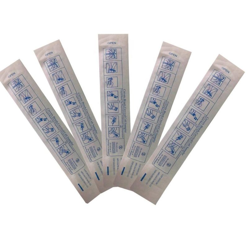 Cytology Cervical Smear Brush with CE Certificate