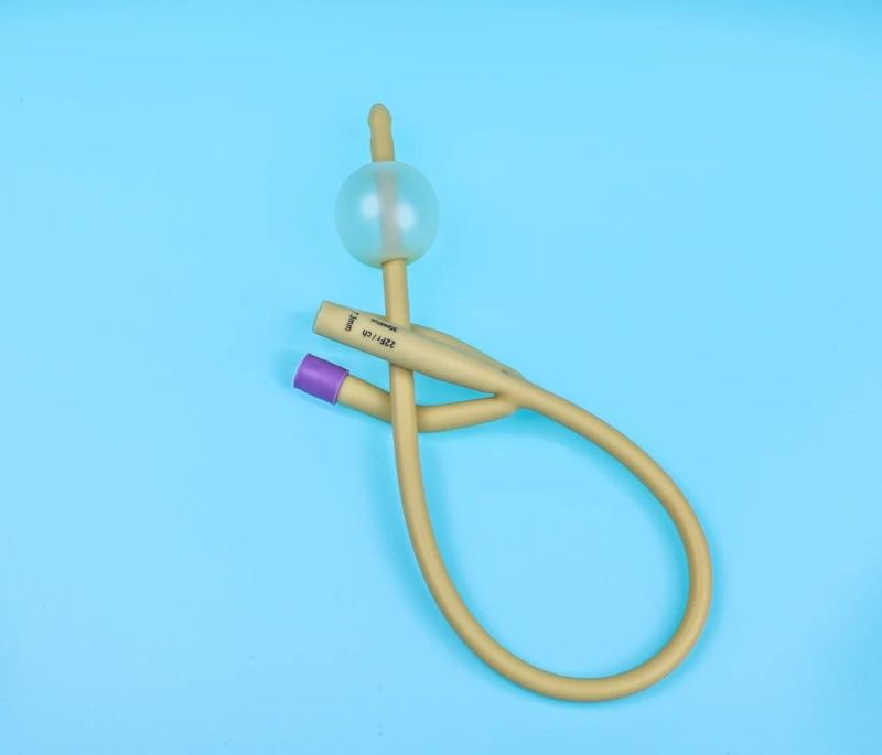 Urethrostomy Urethral Catheter Use in The Drainage and/or Collection and/or Measurement of Urine