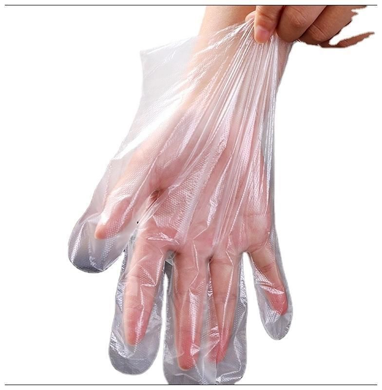 China Hot Sale Waterproof Disposable PE/HDPE Polyethylene Glove