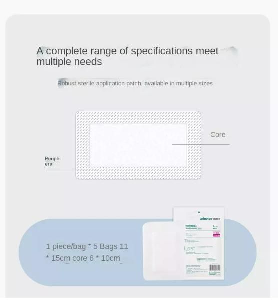 Medical Wound Dressing for Wound Healing Highly Absorbent Dressing Sterile Individual Wrapped for Wound Care