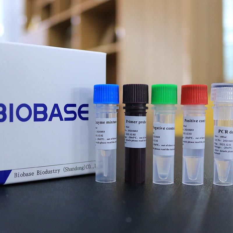 Biobase PCR Test Kit PCR Test Kit Rapid PCR Amplification Kits Test Kits PCR