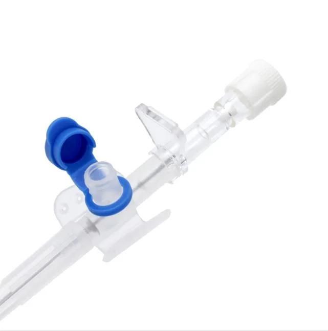 CE/ISO Approved Disposable I. V. Cannula IV Cannula