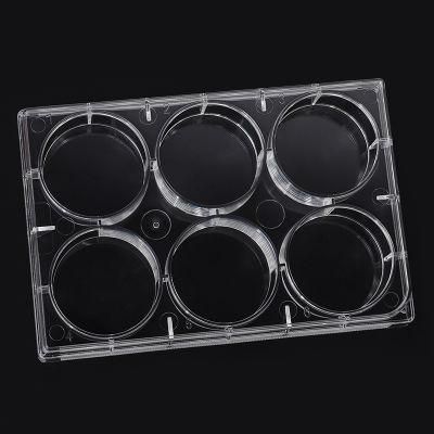 Disposable Transparent Polystyrene 6 Well Bacterial Cell Culture Plate Flat Bottom Manufacturer