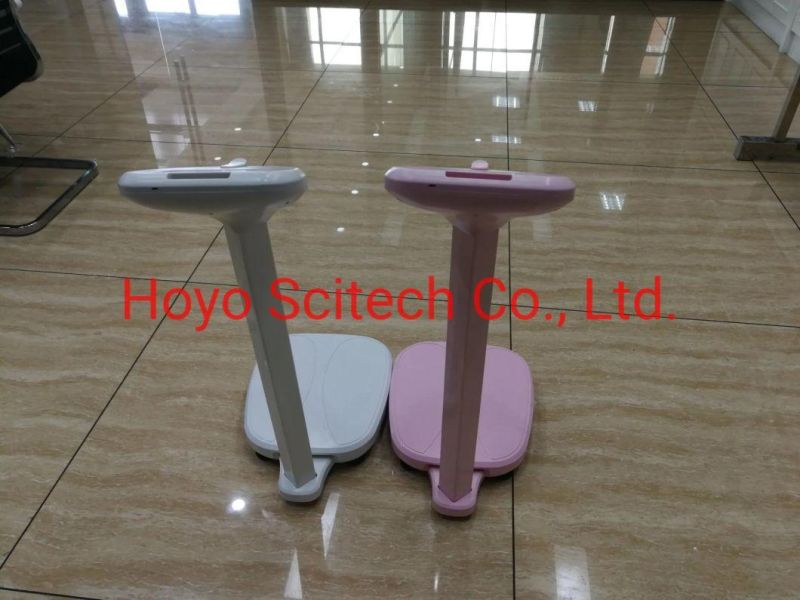 Digital Electronic Computing Price Scale Weight Electronic Weight Scale 200