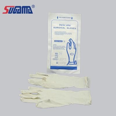 Disposable Sterile Free Powder Latex Surgical Examination Gloves