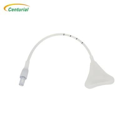 Ptca Cardiovascular Intervention Medical Use Disposables Balloon Uterine Stent