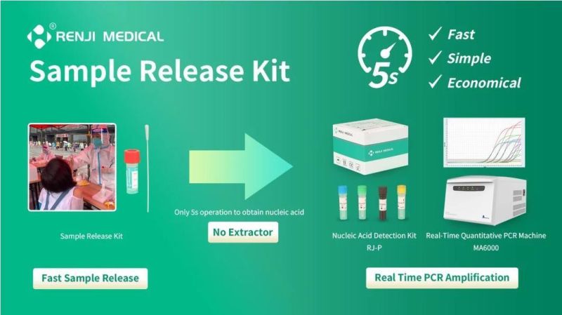 Virus Sample Detection Release Kit