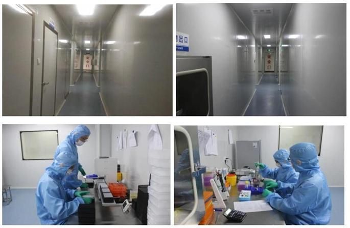 Hot Sale Nucleic Acid Extraction Kit and Purification Kit