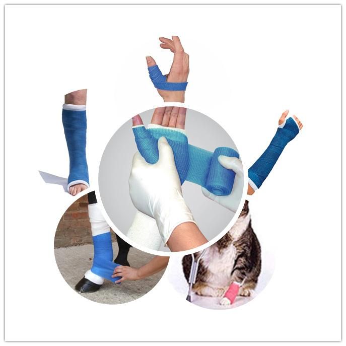 Certified Blue Thermoplastic Sheets Orthopedic Splint