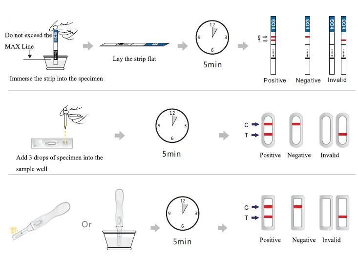 Sell Multifunctional Livestock Pregnancy Test Easy to Operate and Carry Convenient Fast Results of Sheep Test