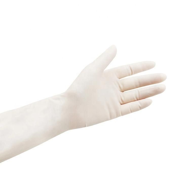 Surgical Latex Gloves Powder Free with CE ISO