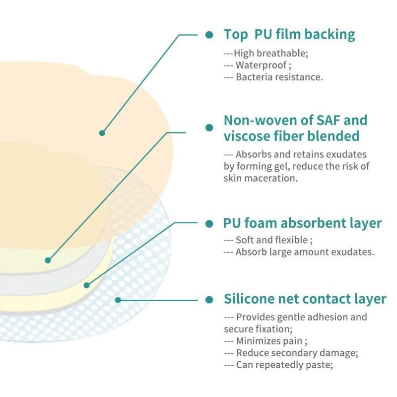 Bordered Silicone Adhesive Foam Dressing