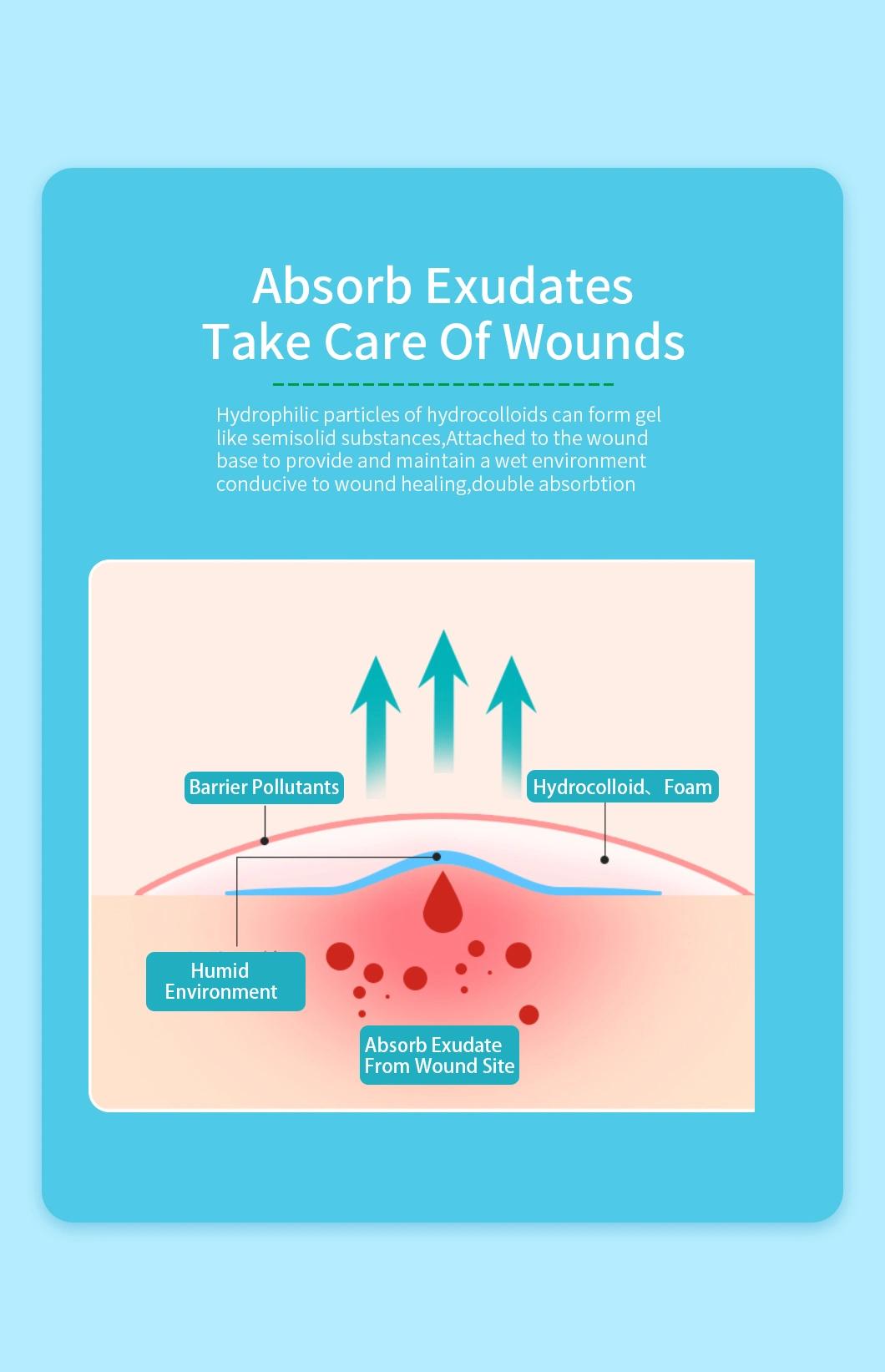Hydrocolloid Foam Dressing Conform to Body Shape Wound