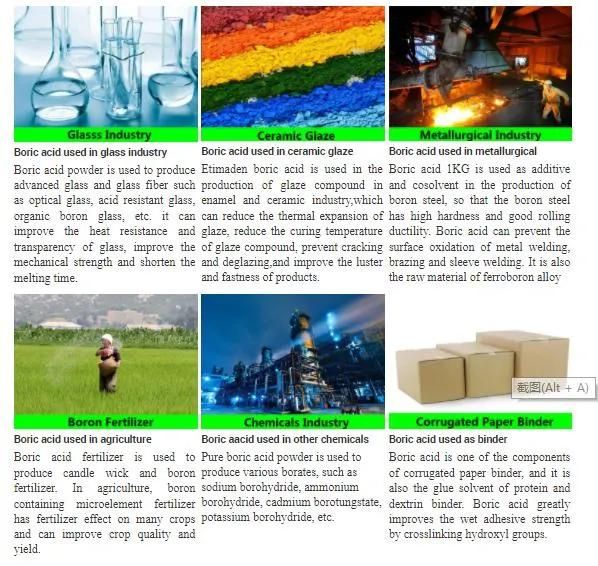 Boric Acid H3bo3 Manufacturers CAS 11113-50-1
