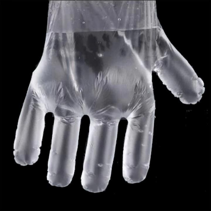 Disposable PE Household Food Grade Processing Industry Eco-Friendly Gloves