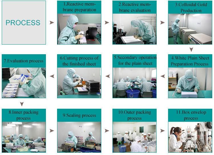 6mlinactivated+10throat Swab Sampling Tube Various Specifications Sampling Tube Virus Tube