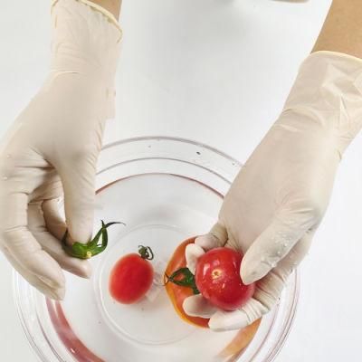 Examination Disposable Latex Glove Powder Free for Assignment