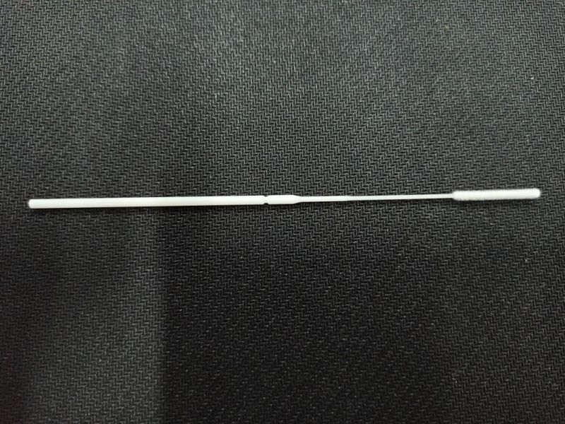 Wholesale Disposable Oral Swab Nylon Flocked Swab for Virus Collection