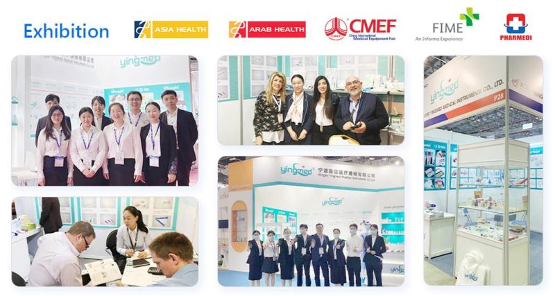 High Quality Medical Safety IV Cannula Different Sizes and Color