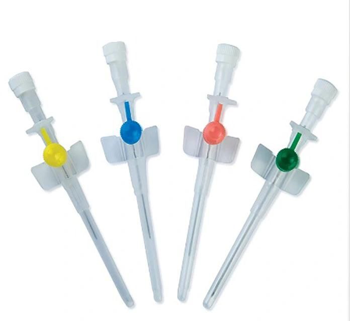 Wholesale Disposable IV Catheter Cannula Small Wing Y Type for Medical Use