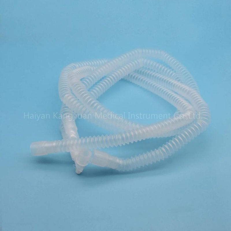 Breathing Circuits Chosen Configuration Includes a Face Mask, Breathing Bag Subassembly, Respiratory Filter