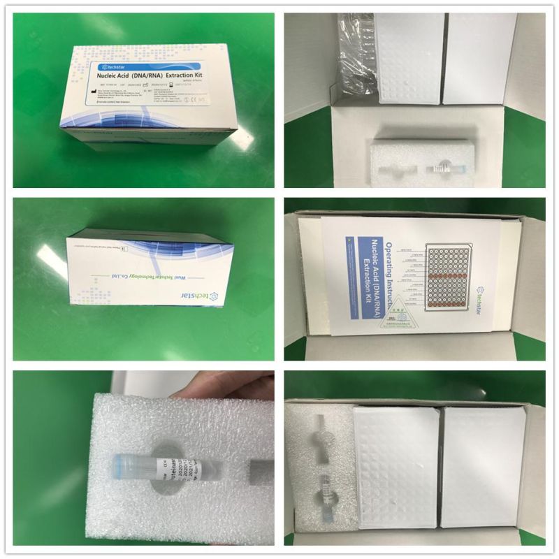 Techstar Nucleic Acid Extraction and Purification Reagents/Rna/DNA Isolation Kit