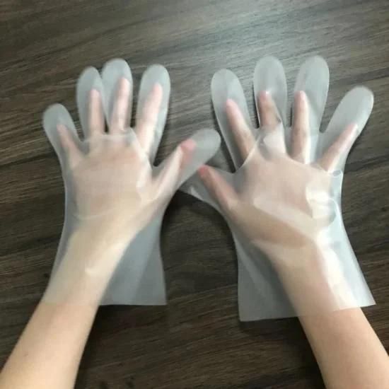 Disposable Plastic Food Grade CPE Food Glove TPE Gloves