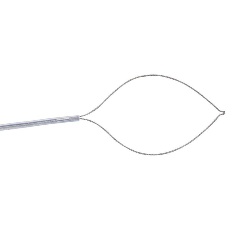 Endoscopy Accessories Polypectomy Snare for Removing The Polyp