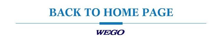 Wego Medical Insulin Pen Needle Factory Wholesale Insulin Needle Pen