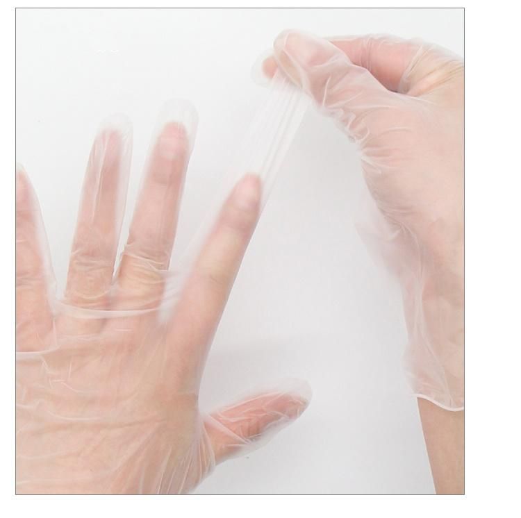 Disposable Blue Vinyl Gloves Power Free Medical Gloves Household Gloves