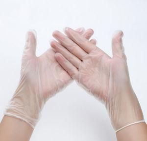 Powdered and Powderfree Vinyl Gloves PVC Gloves for Medical