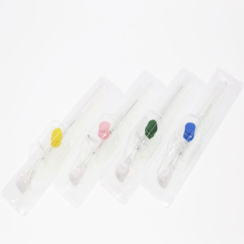 Eo Sterilization IV Cannula with Wings CE ISO