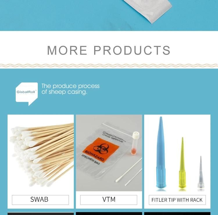 Disposable 6inch Sterile Collection Flock Nasopharyngeal Oral Nasal Swab
