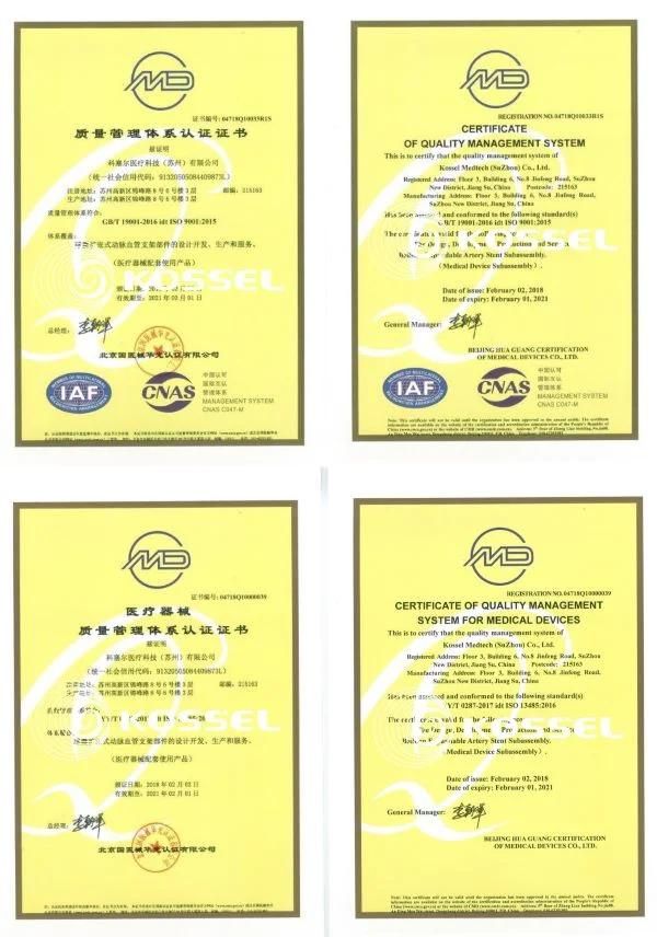 ISO FDA CE Certified Coronary Vascular Ptca Balloon Catheter PCI Dilatation Catheter Factory