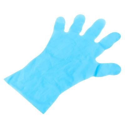 Disposable Exam Latex Gloves Vinyl Golves Nitrile Gloves PE Plastic Gloves Transparent PE TPE CPE Disposable Gloves